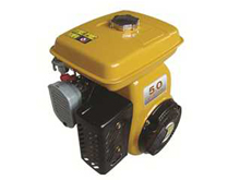 RUIBIN��20D��EY20D��